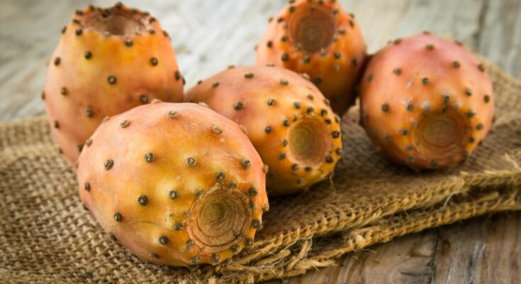 Prickly pears: what they are, properties, nutritional values ​​and benefits