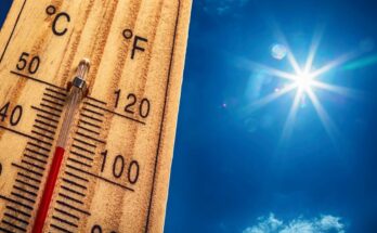 Heat dome: 19 departments on heatwave orange alert
