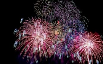 Fireworks: how to protect your pet from noise?