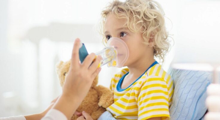 More frequent asthma attacks in children at the start of the school year?  that's why