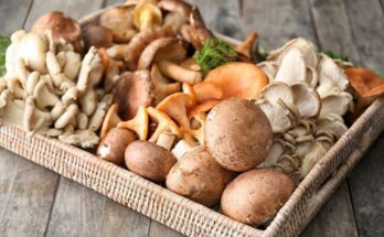 The benefits of mushrooms