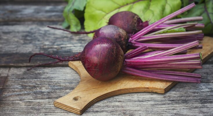 Beetroot promotes digestion and supports blood formation