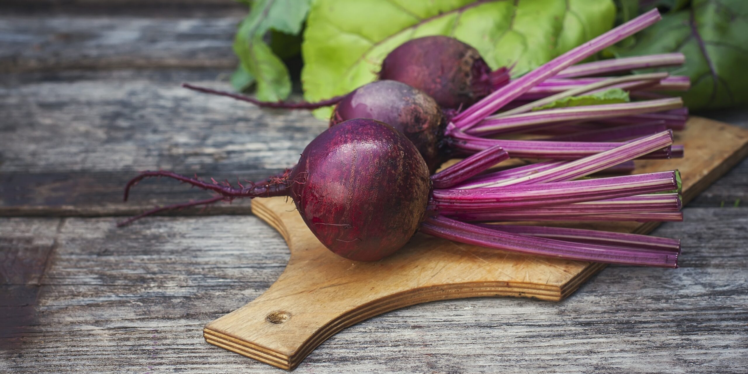 Beetroot promotes digestion and supports blood formation