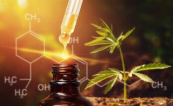 Cannabis active ingredient prevents inflammation and promotes intestinal health