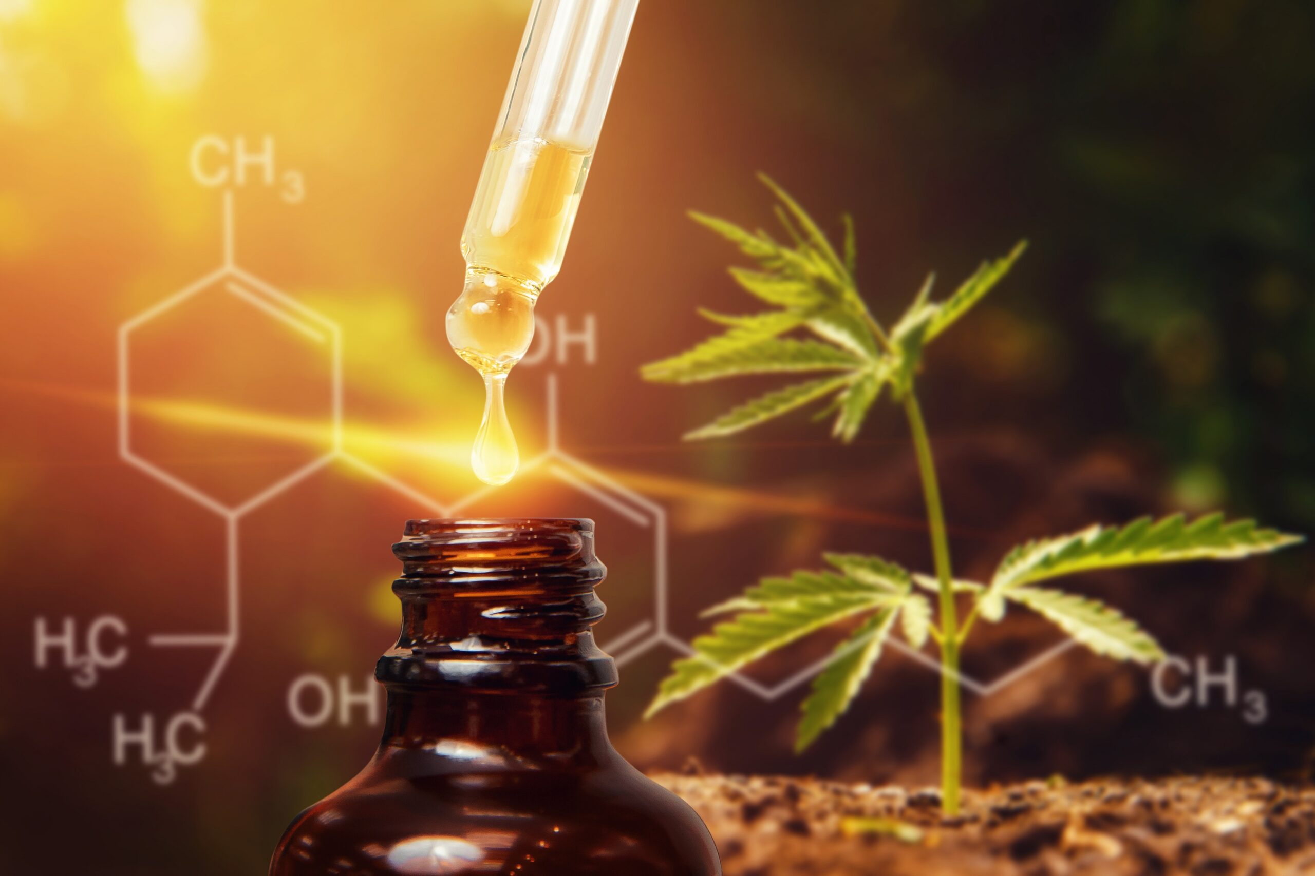 Cannabis active ingredient prevents inflammation and promotes intestinal health