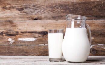 Cow's milk, oat milk and the like - the nutrient content is so different