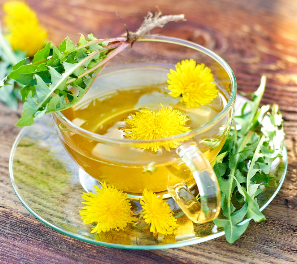 Dandelion tea: Regular consumption offers these benefits