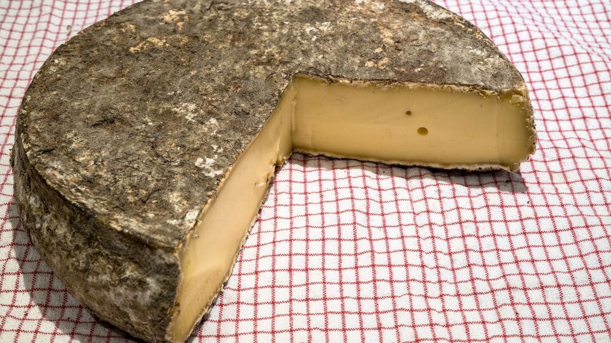 Listeria: many contaminated cheeses recalled throughout France