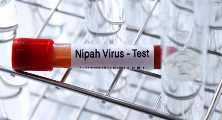 Nipah virus: could it be the cause of a new pandemic?