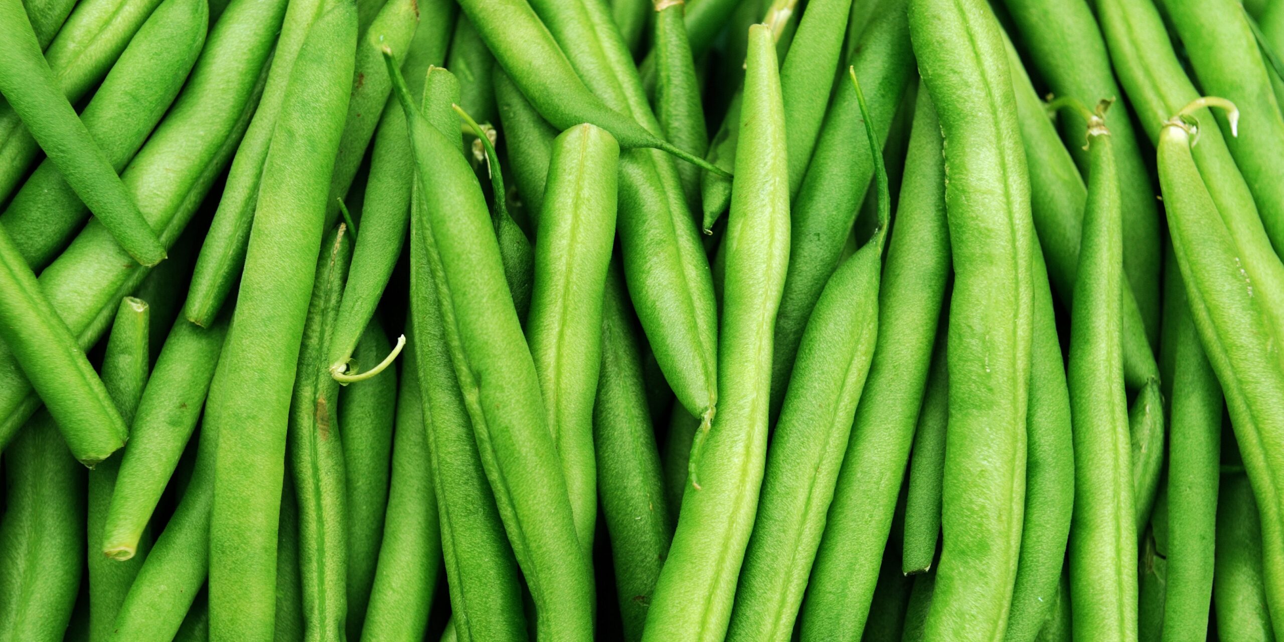 Nutrition: Can beans also be eaten raw?