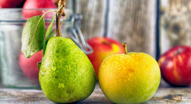 Nutrition: This fruit effectively protects against dementia