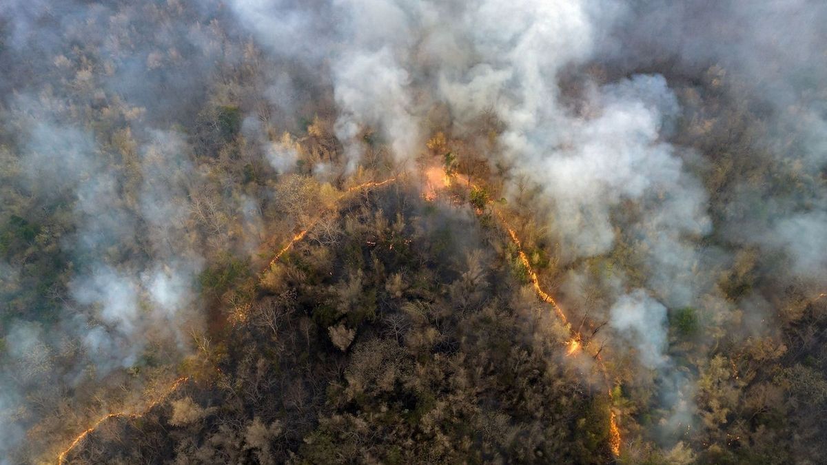 Wildfires: smoke could harm brain health