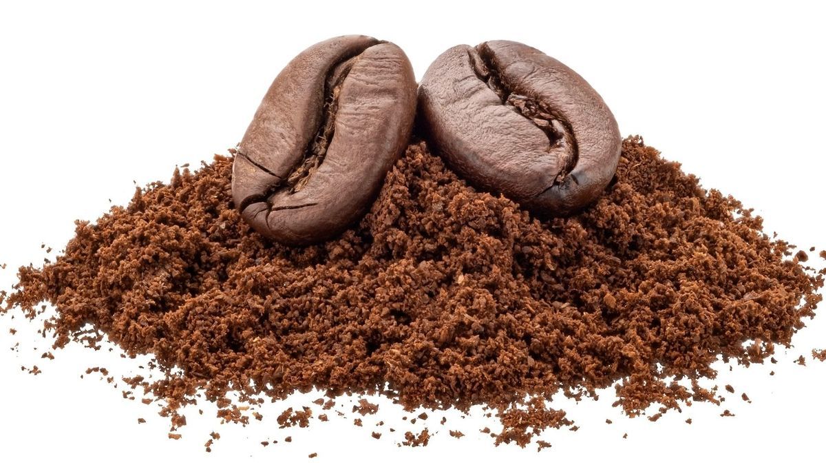 Be careful, this coffee sold by Leclerc is contaminated by mycotoxins