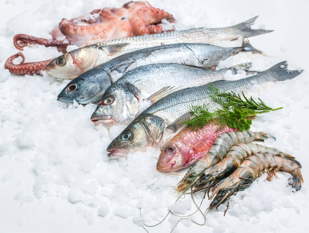 Freshwater fish are no less nutritious than other seafood