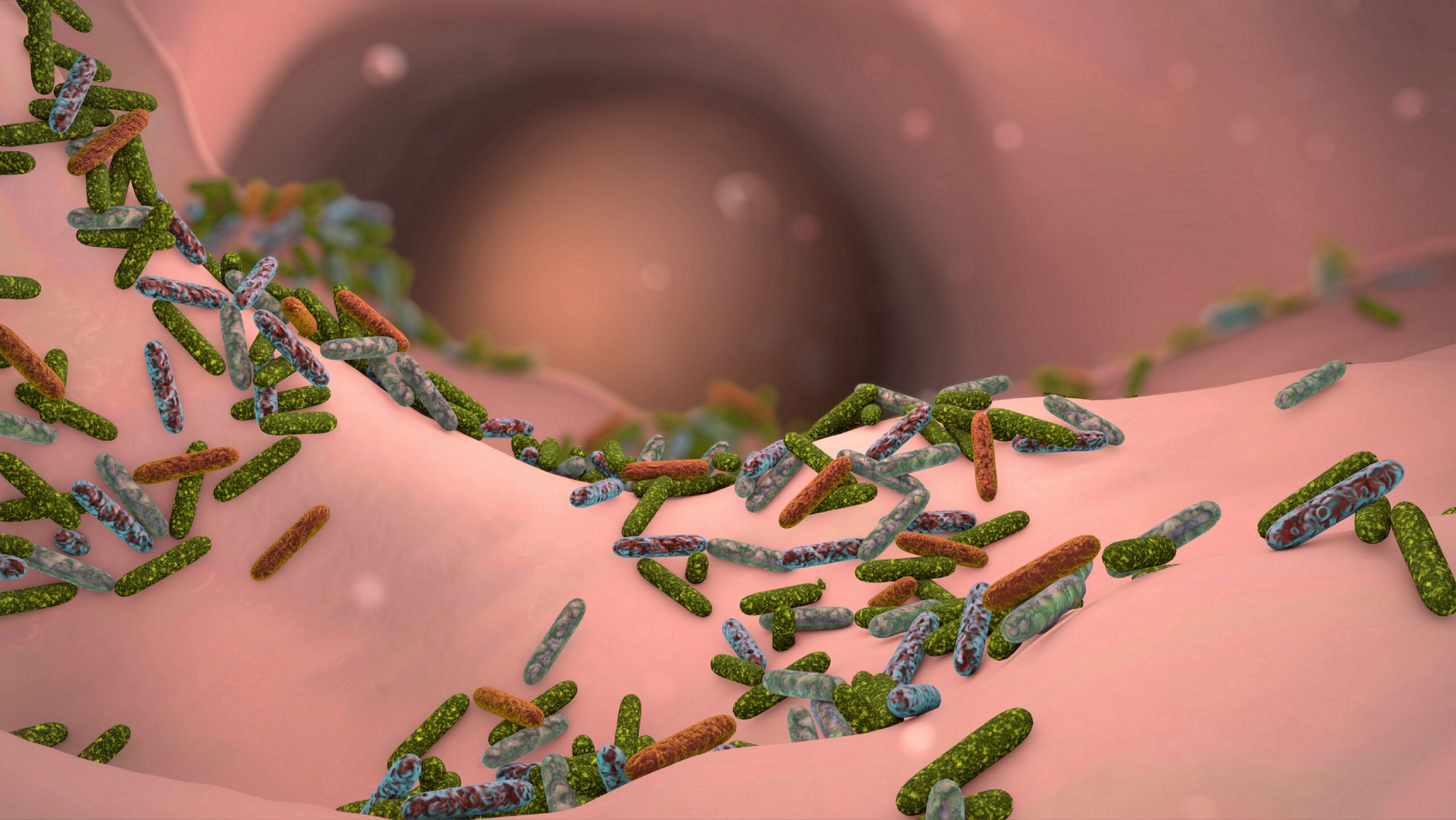 Intestinal flora: New treatment approaches through better understanding