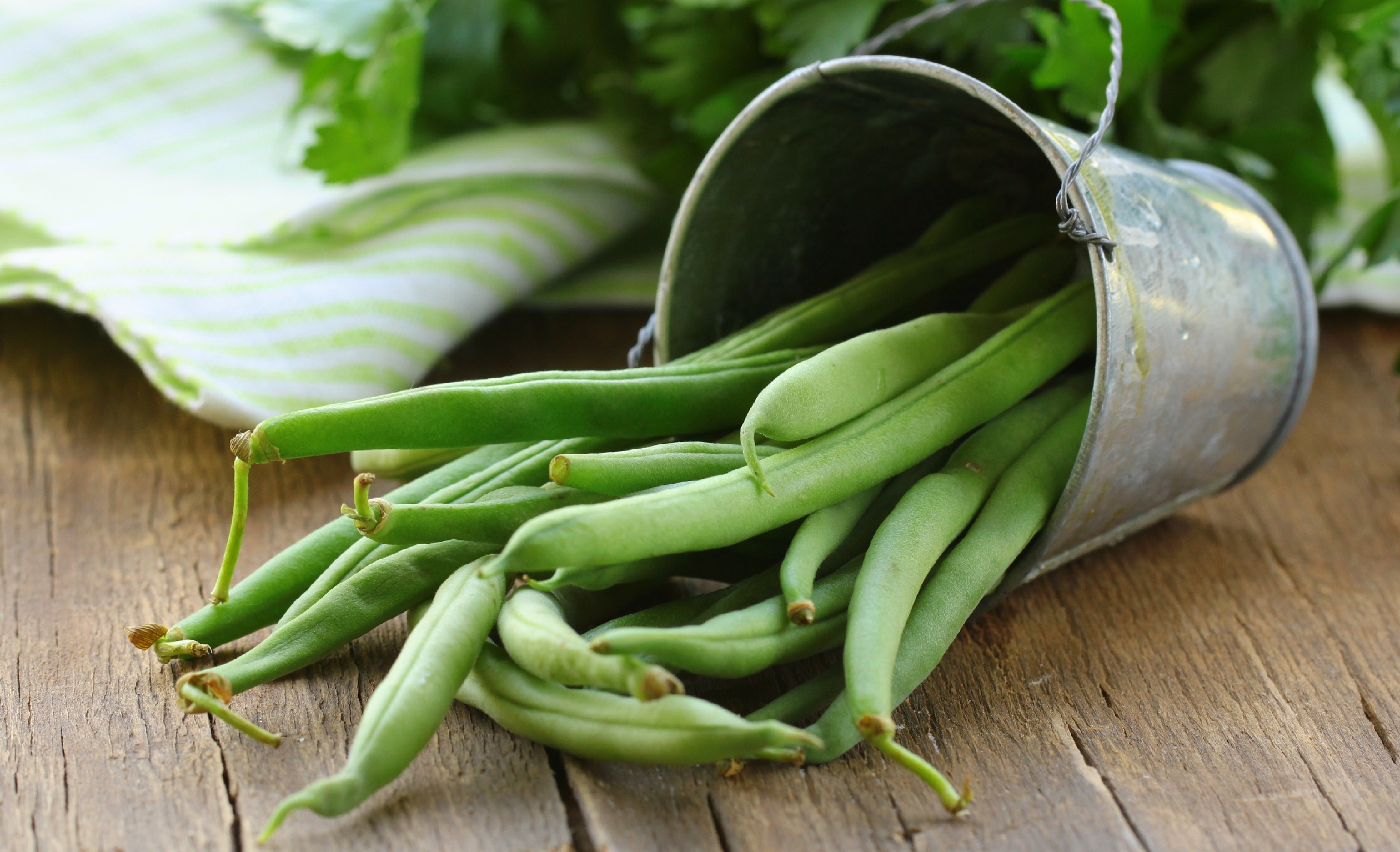 Nutrition: How green beans boost health
