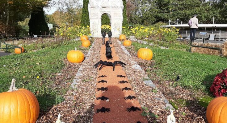 “Our regions or a fate”: celebrate Halloween at the France Miniature park