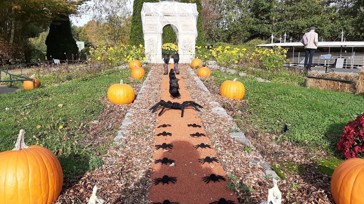 “Our regions or a fate”: celebrate Halloween at the France Miniature park