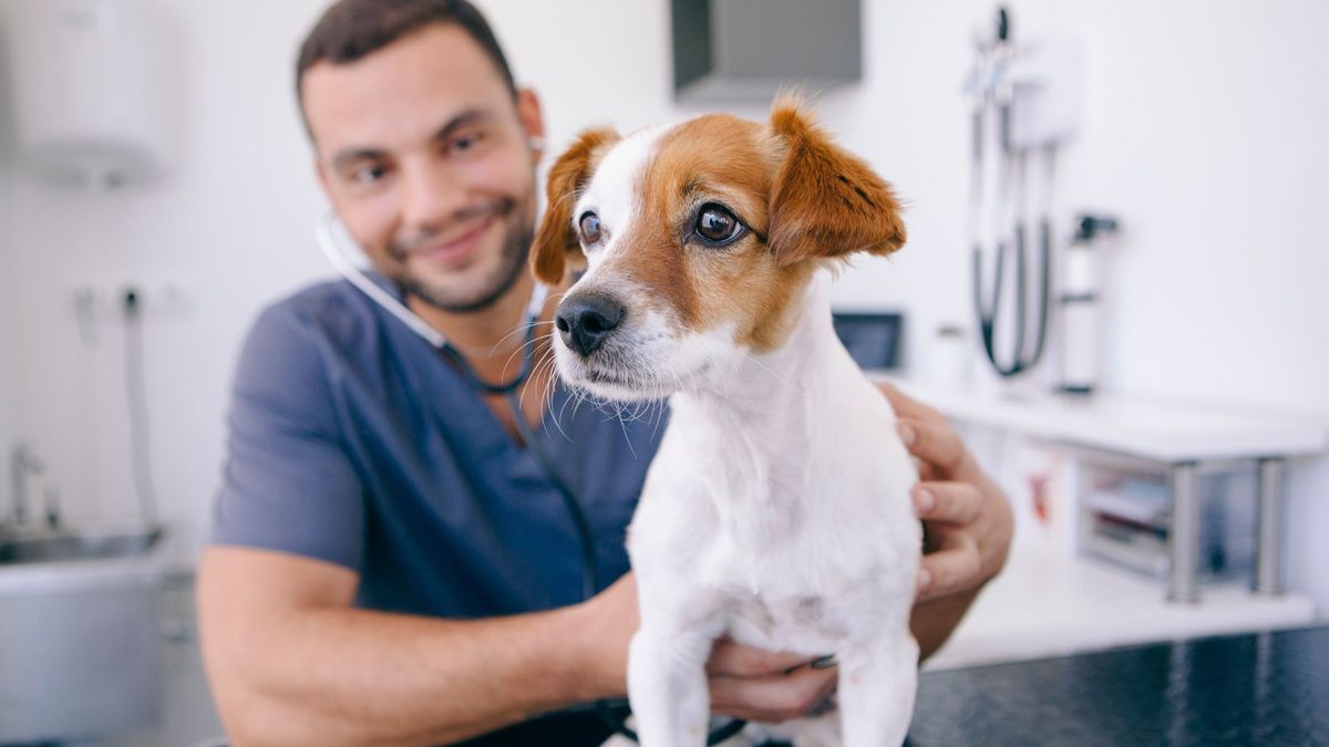 The cost of veterinary expenses worries pet owners