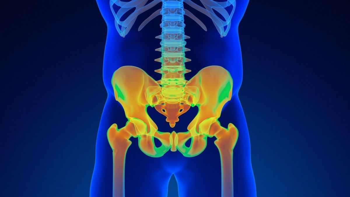 The pelvic girdle: its role and dysfunctions