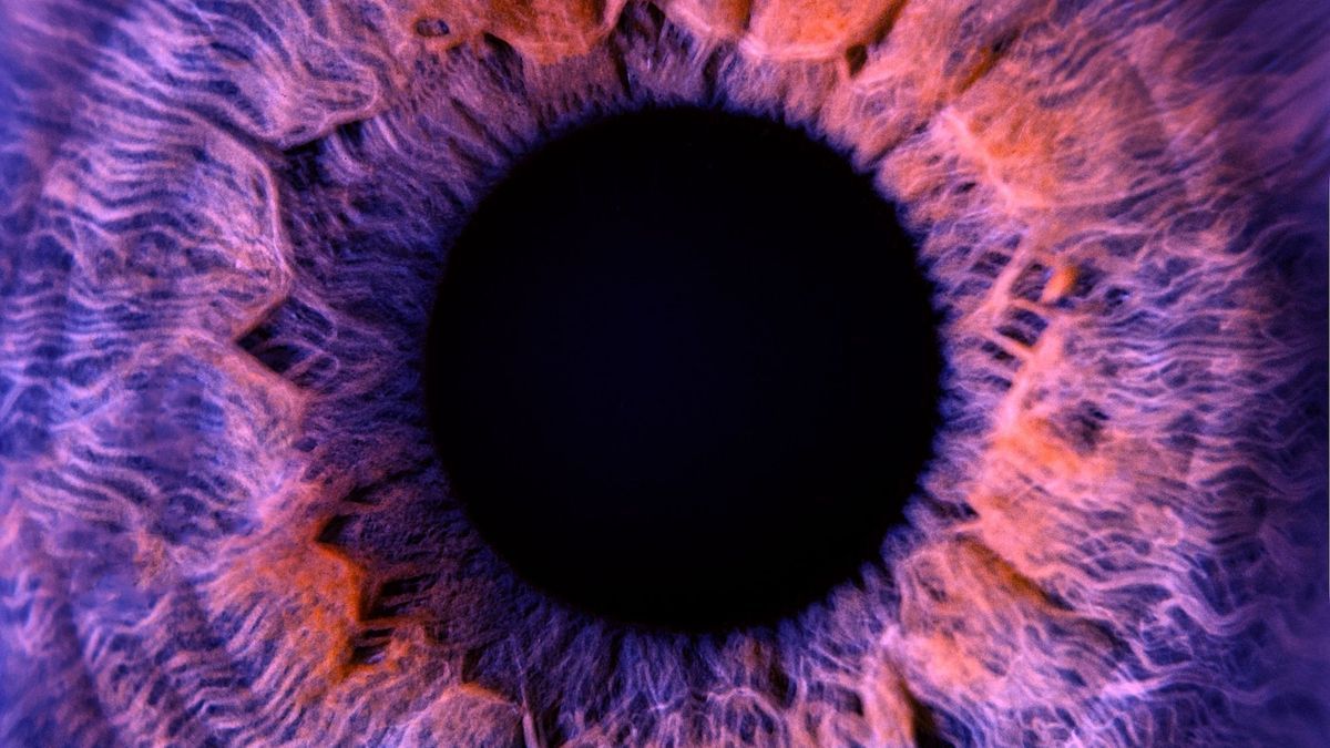 World first: an eye made transparent to better understand eye diseases