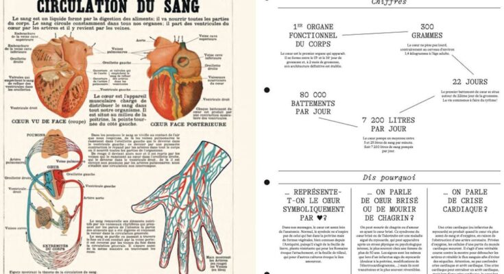 With “Anatomy Lessons”, Dr Gérald Kierzek invites us inside the human body