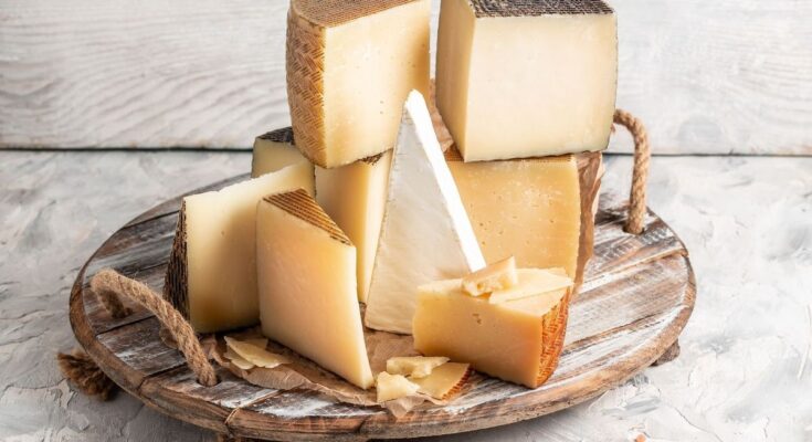 Do not consume these cheeses contaminated with Escherichia Coli bacteria!