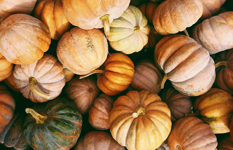 Benefits of pumpkin: 8 properties proven by science