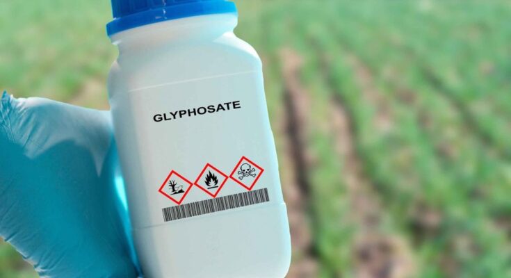 Glyphosate renewed for 10 years: a health aberration according to associations