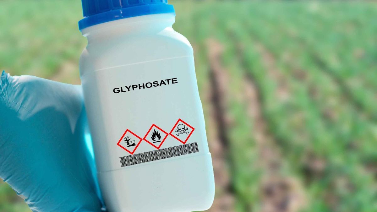 Glyphosate renewed for 10 years: a health aberration according to associations