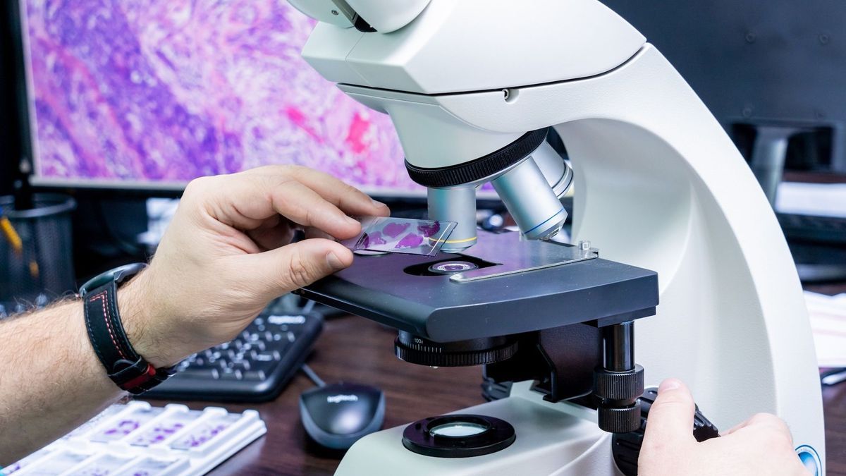 Histology: why study biological tissues?