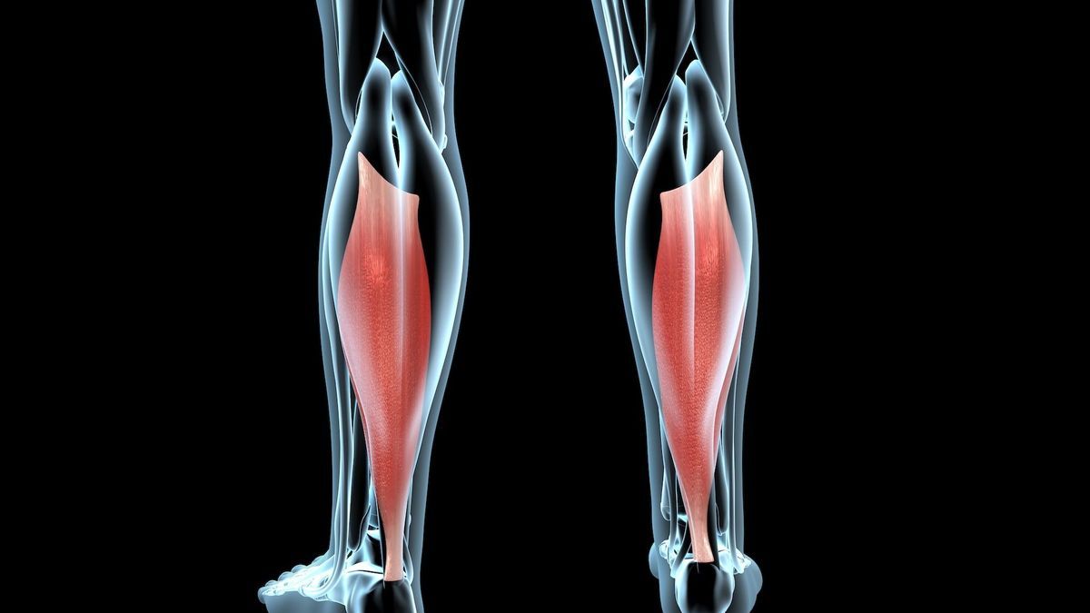 How to take care of the soleus muscle?