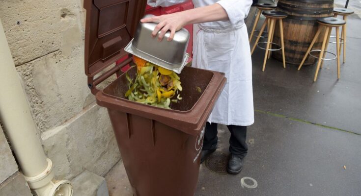 Sorting of bio-waste in France is due in January
