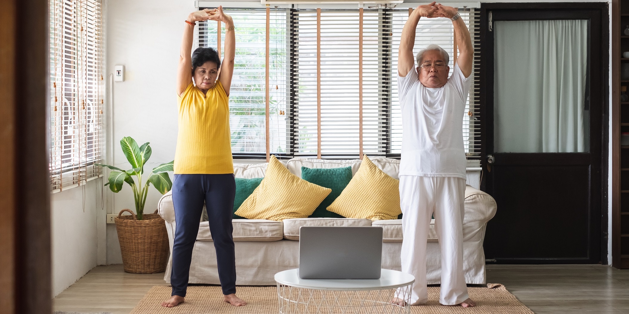 Virtual Tai Chi training improves cognition in old age