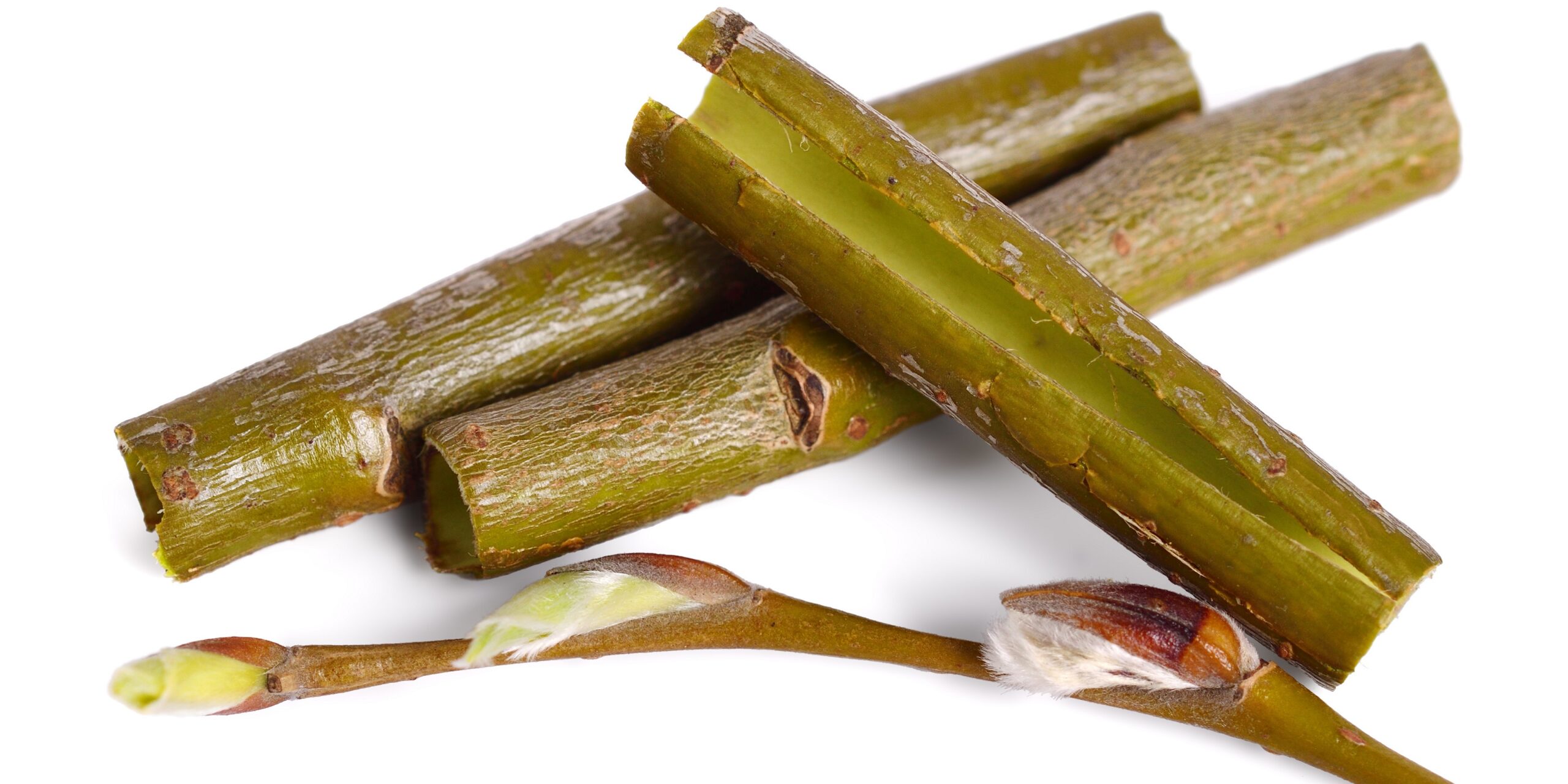 Willow bark extract is effective against viruses