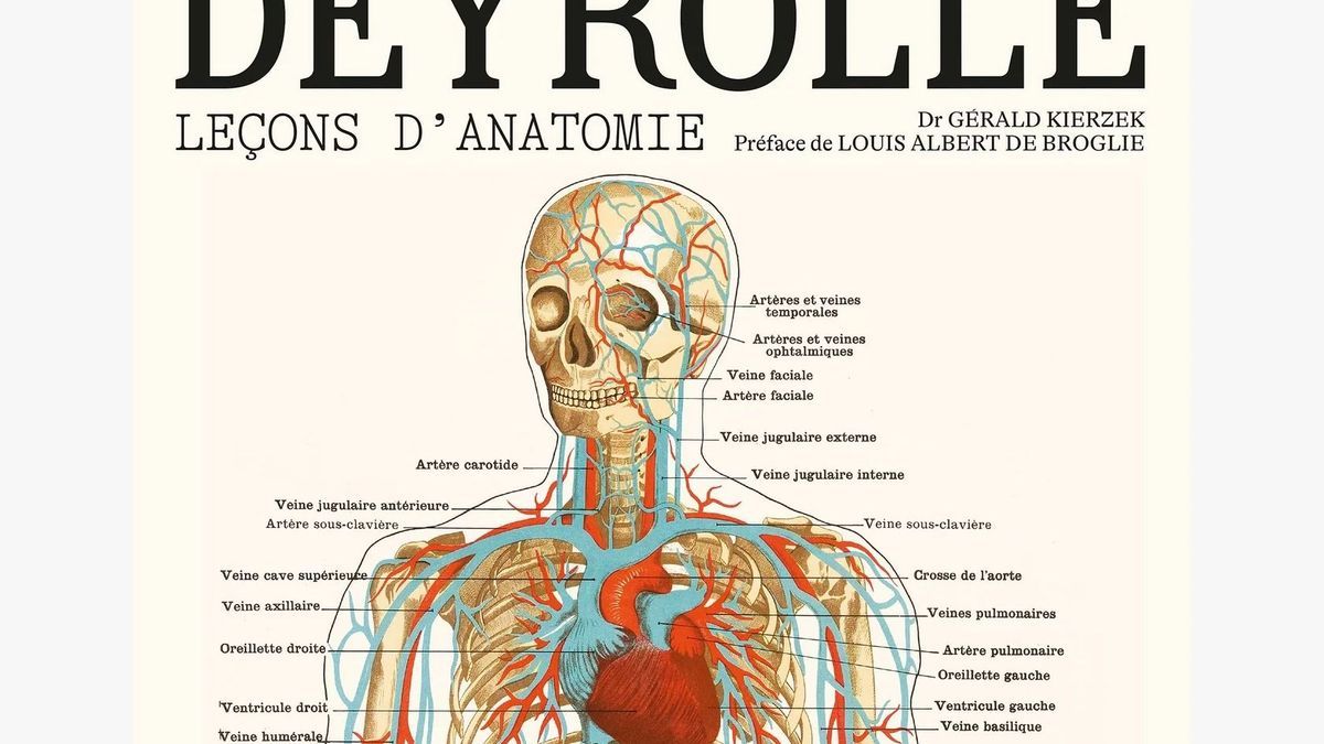 Competition: win a signed copy of “Anatomy Lessons”, the latest book by Gérald Kierzek!