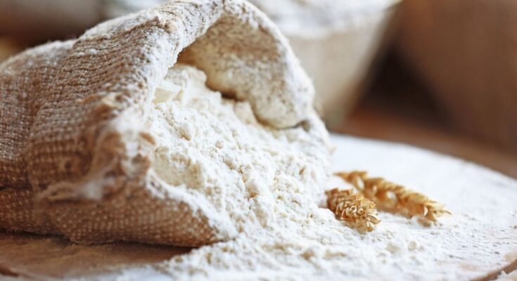 Corn flour: uses and health benefits