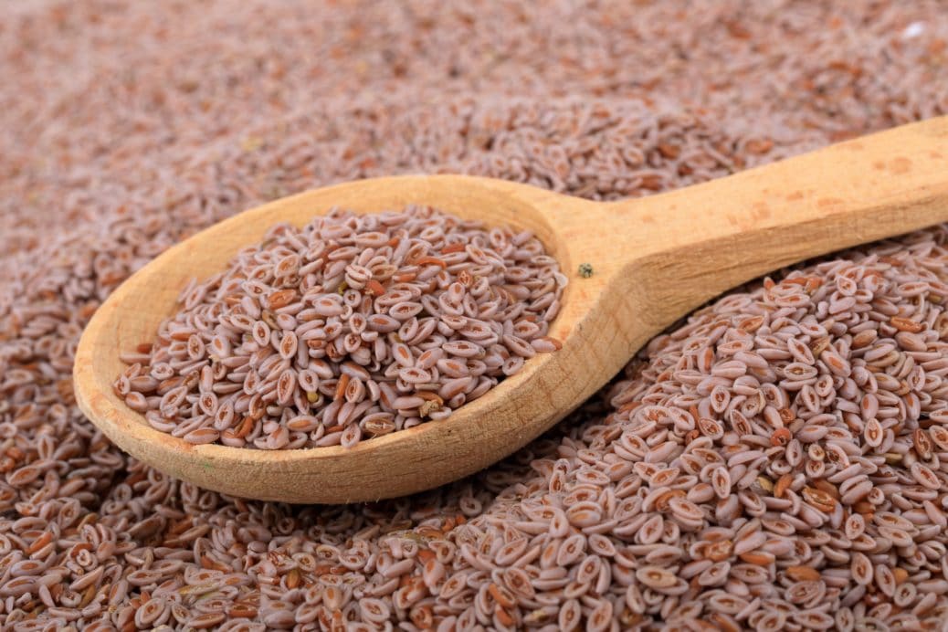 Psyllium helps with weight loss and is beneficial for diabetes