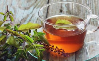 Tulsi basil offers these health benefits
