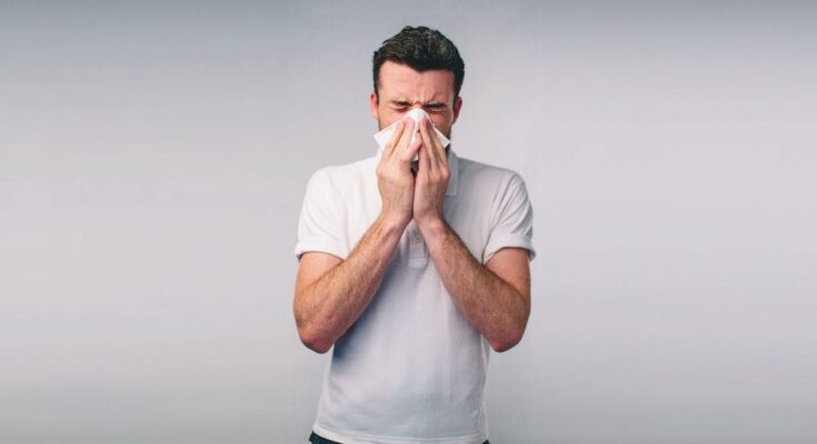 While holding back from sneezing, a man tears his windpipe.  How is it possible ?