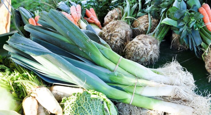 Winter vegetables: Health benefits from kale and co.