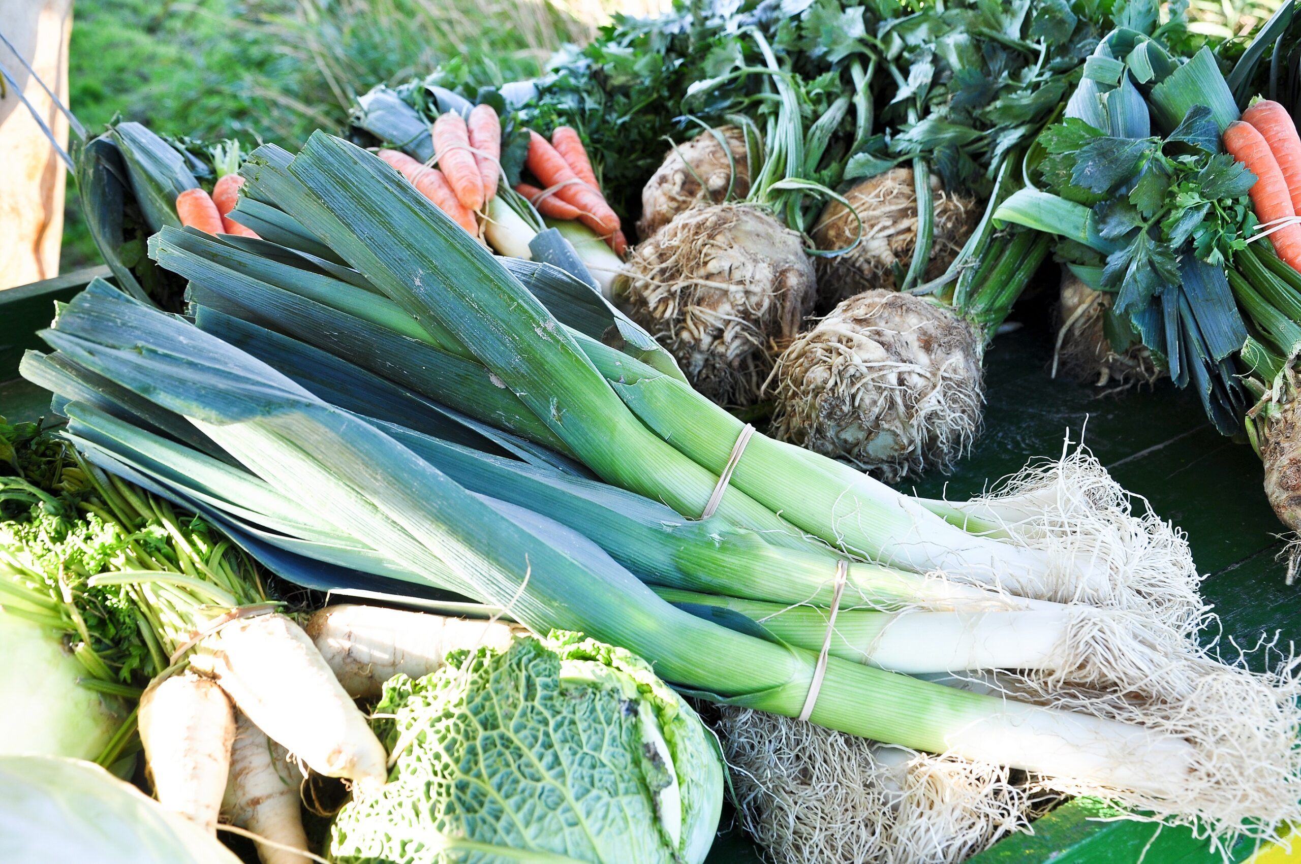 Winter vegetables: Health benefits from kale and co.