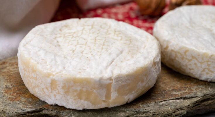 Escherichia Coli: massive recall of goat cheese