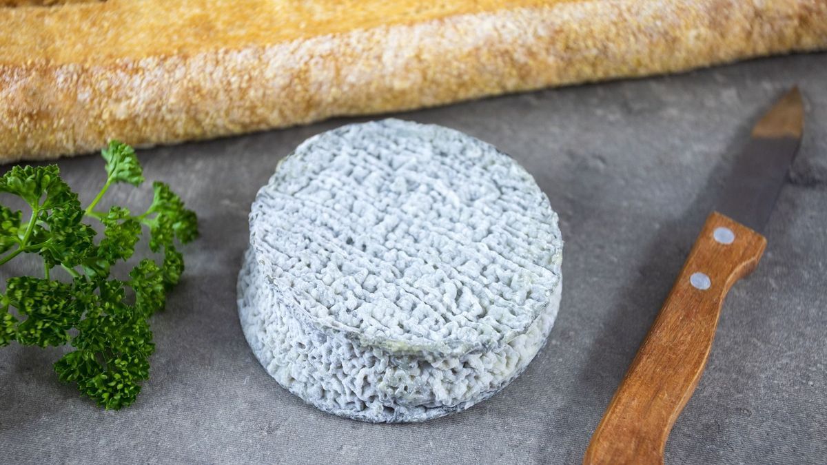 Escherichia Coli: goat cheese recall