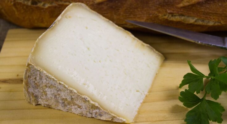 Product recall: this sheep cheese can make you sick