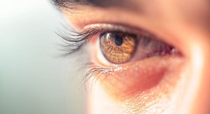 Watch your eyes with these 4 amazing enemies of your eyesight!