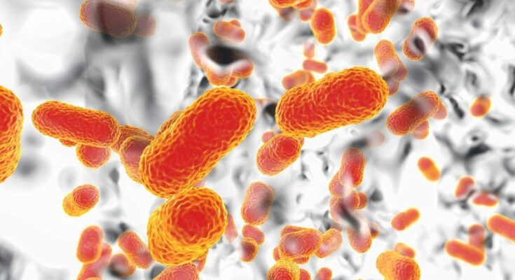 A new antibiotic overcomes a super-resistant bacteria thanks to a new mechanism