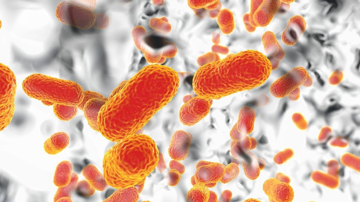 A new antibiotic overcomes a super-resistant bacteria thanks to a new mechanism