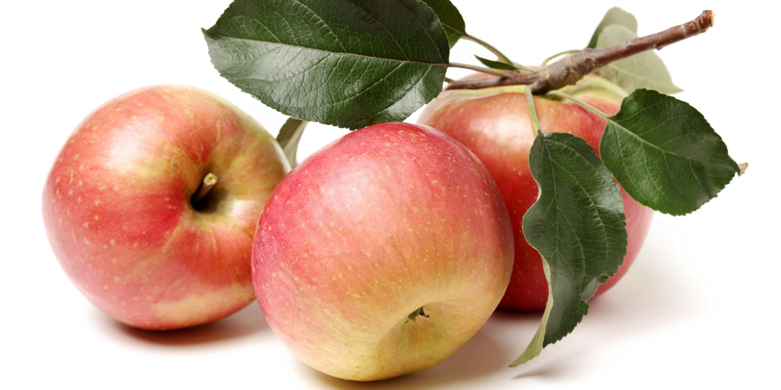 Apples help lower blood pressure and cholesterol levels