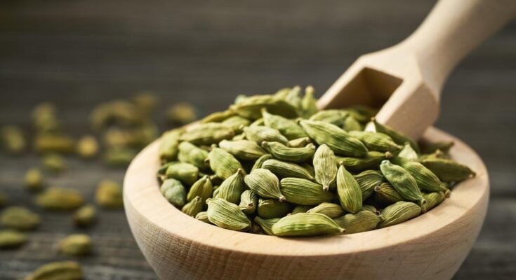 Cardamom: what are its benefits for the body, expert comments